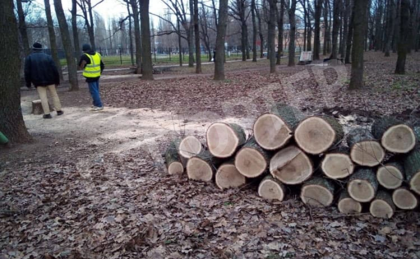 В Никопольском районе дуборубы спилили 14 деревьев