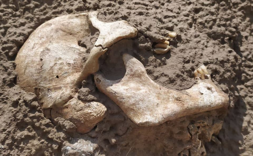 Под Никополем обнаружили человеческие останки – возможно древние
