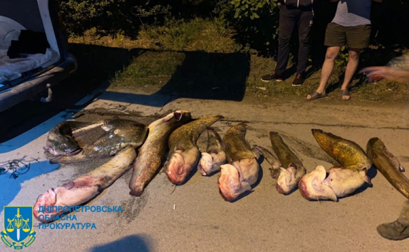 Наловили 6 т риби за допомогою вибухівки: На Дніпропетровщині судитимуть 4 браконьєрів з Нікополя