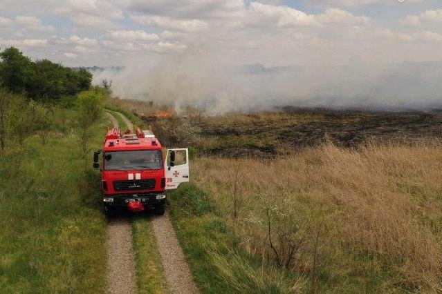 Вдоль трассы «Днепр-Никополь» погибло всё живое