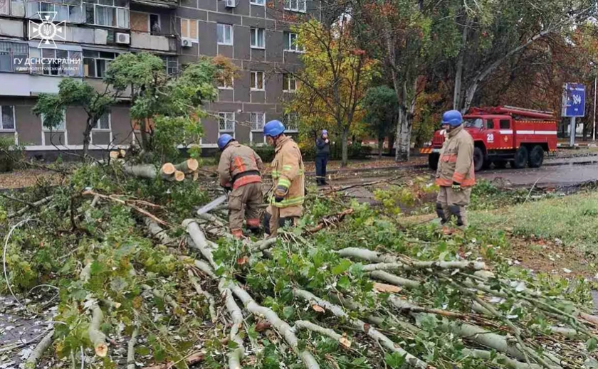 Надзвичайники Нікополя прибрали повалене дерево з проїжджої частини
