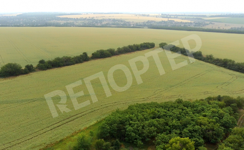 На Днепропетровщине государство хочет вернуть себе землю на 10 млн грн
