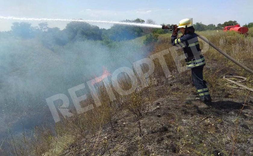 Под Никополем сгорело 2,5 гектара травы