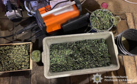 У Нікополі поліцейські викрили чоловіка на незаконному зберіганні наркотиків
